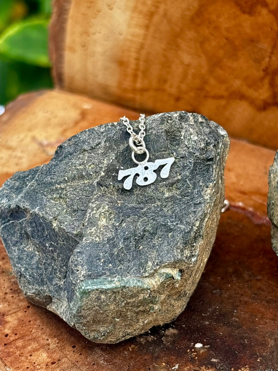 787 Charm