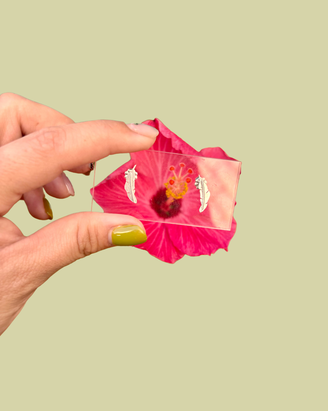 Hoja de Plátano Minis
