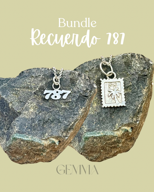 Recuerdo 787 Bundle