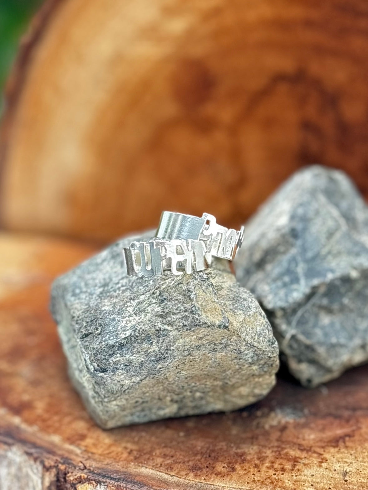 PfknR Ring 2.0